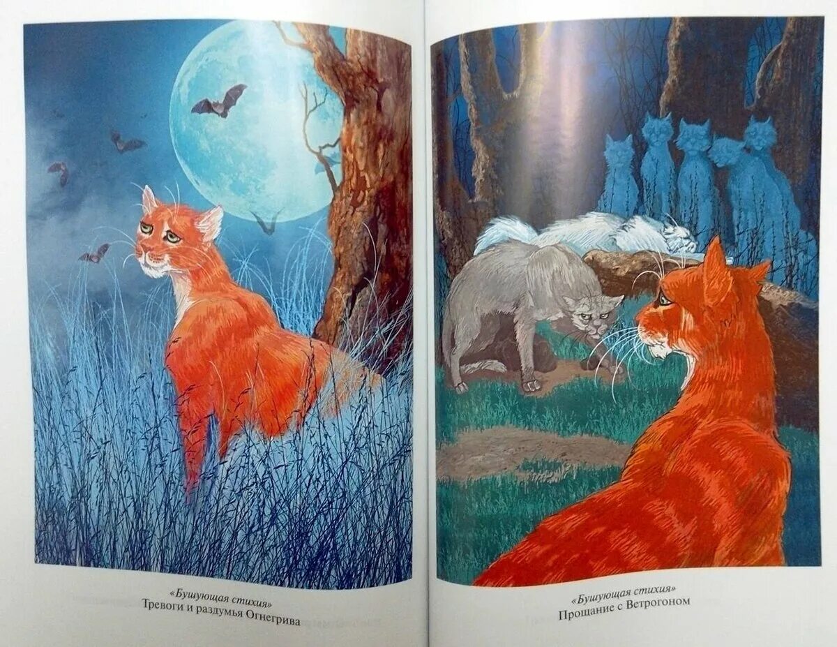 Золотая коллекция. Коты воители книги бушующая стихия. Коты-воители. Коты-воители. Эрин хантер коты воители бушующая стихия.