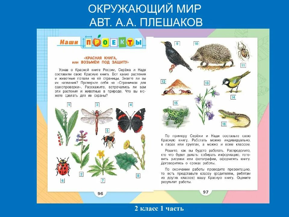 Проект про окружающий мир 2 класс. Окружающий мир 2 класс рабочая тетрадь 1 часть проект красная книга. Проектные работы окружающий мир. Проекты по окружающему миру 4 класс Плешаков. Проекты по окружающему миру 1 класс Плешаков
