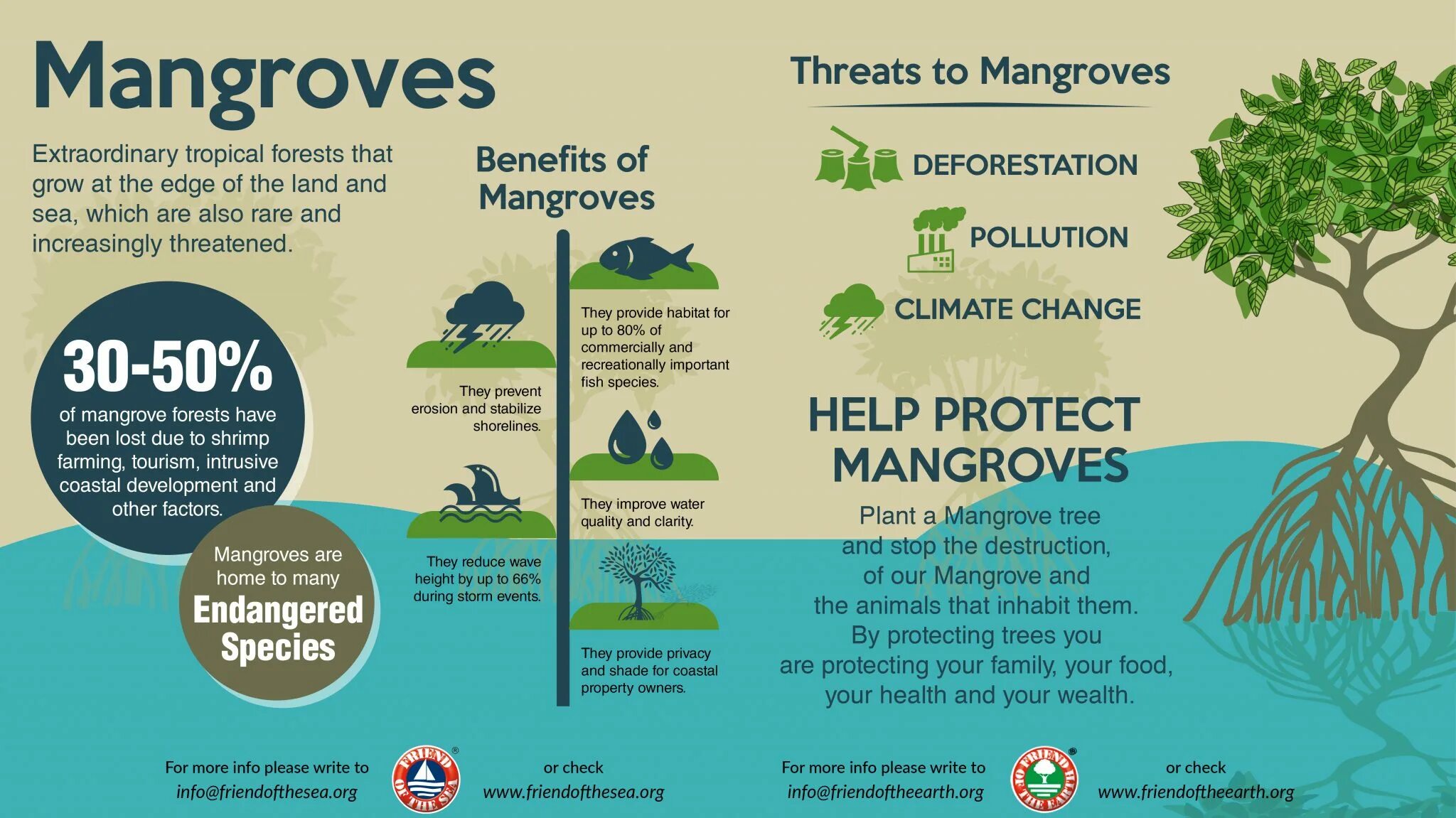 The government try to reduce. The mangrove 3*. mangrove ecosystems. mangrove tree growing. международный день сохранения мангровых экосистем.