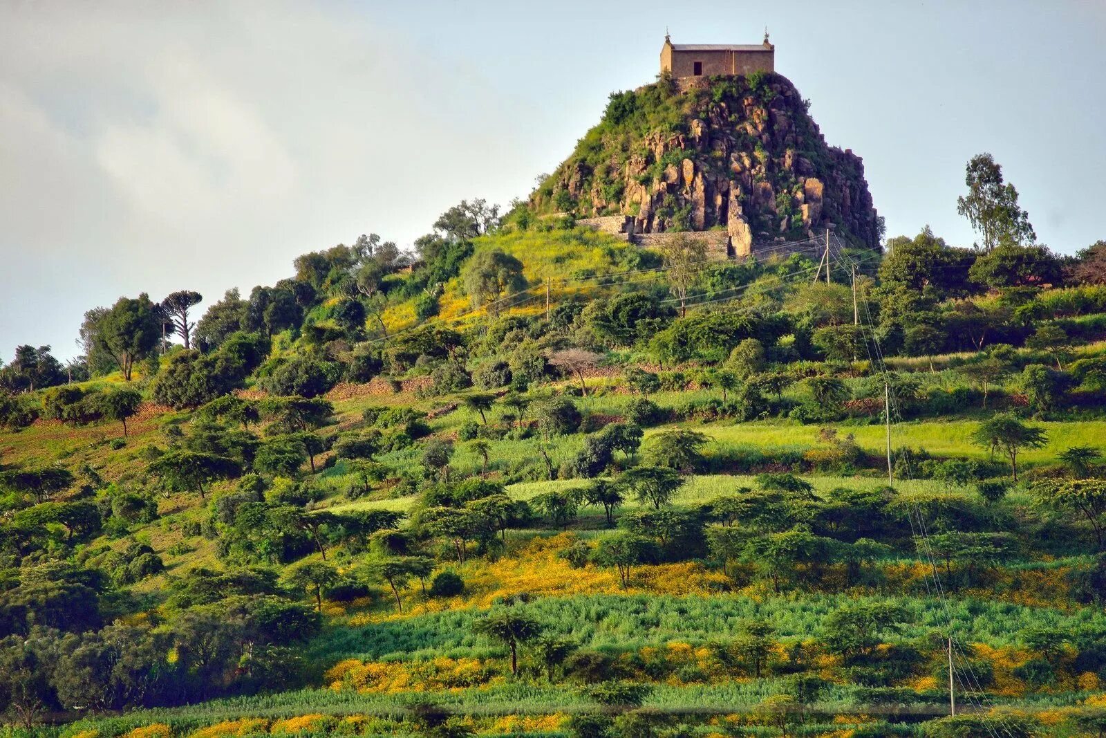 Восточная африка эфиопия. Эфиопия каффа. Восточная африка эфиопия. Эфиопия виды. Эфиопия виды.