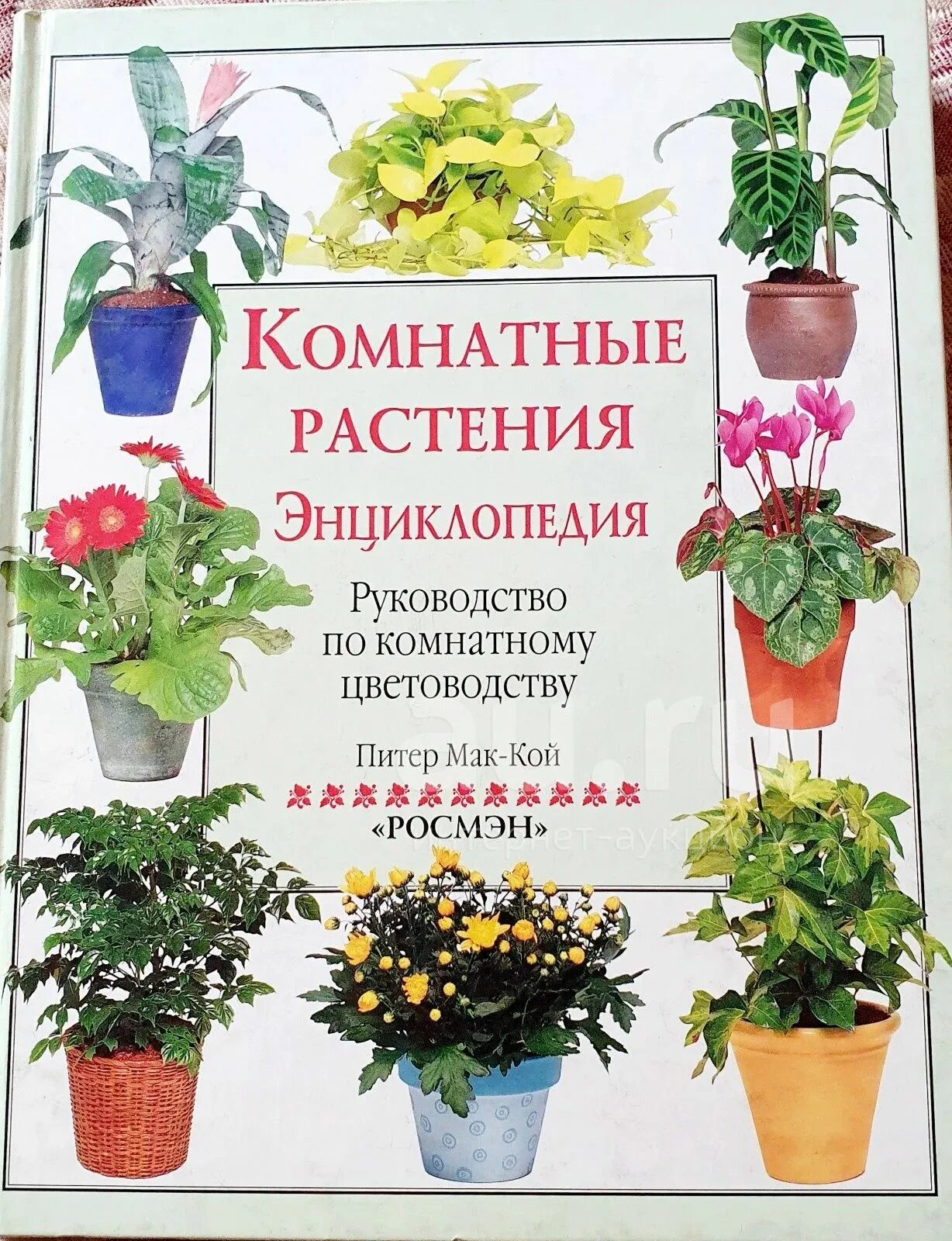 Энциклопедия комнатных растений. В грозном книгу про растения 7 8 лет очень хорошую книгу про растение. Книга комнатные цветы. Комнатные растения обложка. Книги про комнатных птиц.