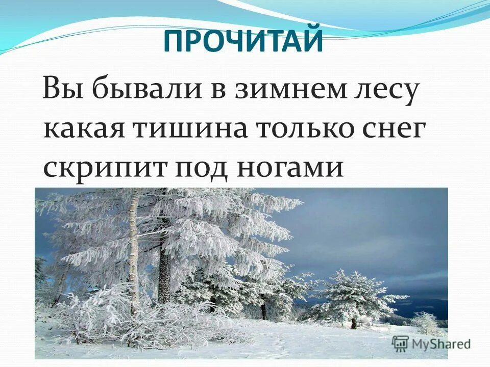 сочинение на тему зима в лесу 4 класс текст. предложения на тему в зимнем лесу. предложения на тему в зимнем лесу. сочинение зимний лес. сочинение описание зимнего леса.