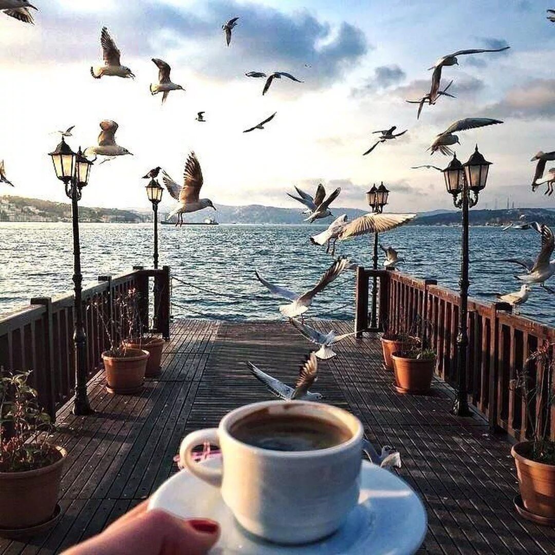 Картинки с добрым утром город. Чашка кофе на море. Доброе утро море. Утро на море с кофе. Доброе утро море и кофе.