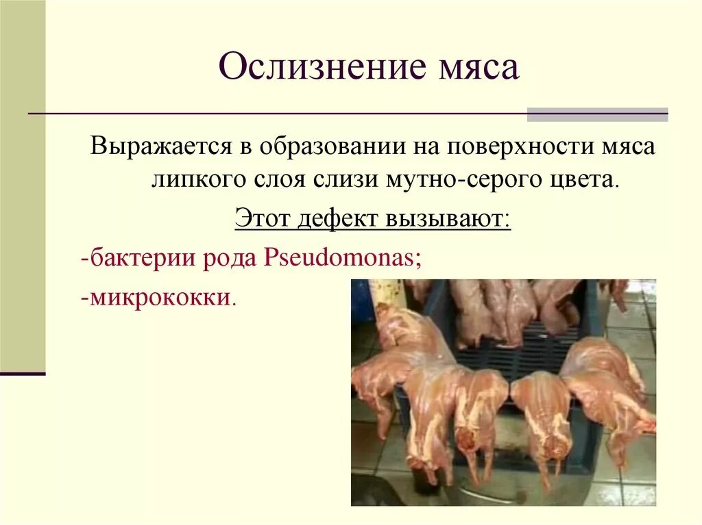 Мясо слизь. Мясо слизь. Мясо слизь. Мясо слизь. Агар агар питательная среда.