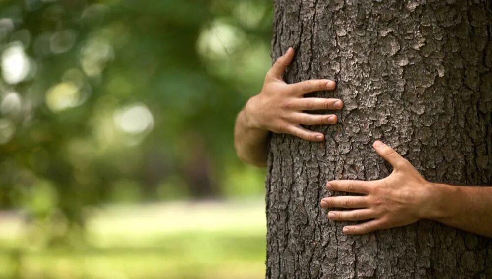 Checked trees