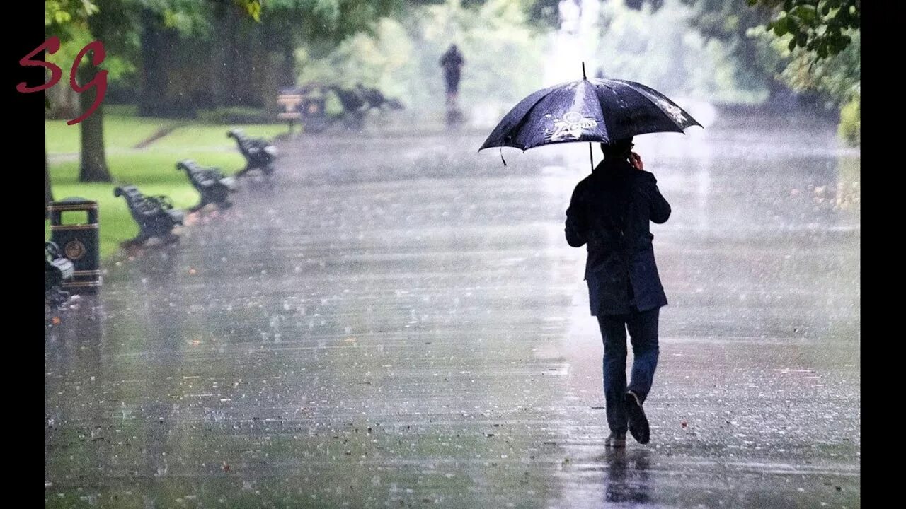 Фото с зонтиком осенью с листьями. Листья летят из зонтика. Стих о пасмурном дне. Ливень. Ненастное время.