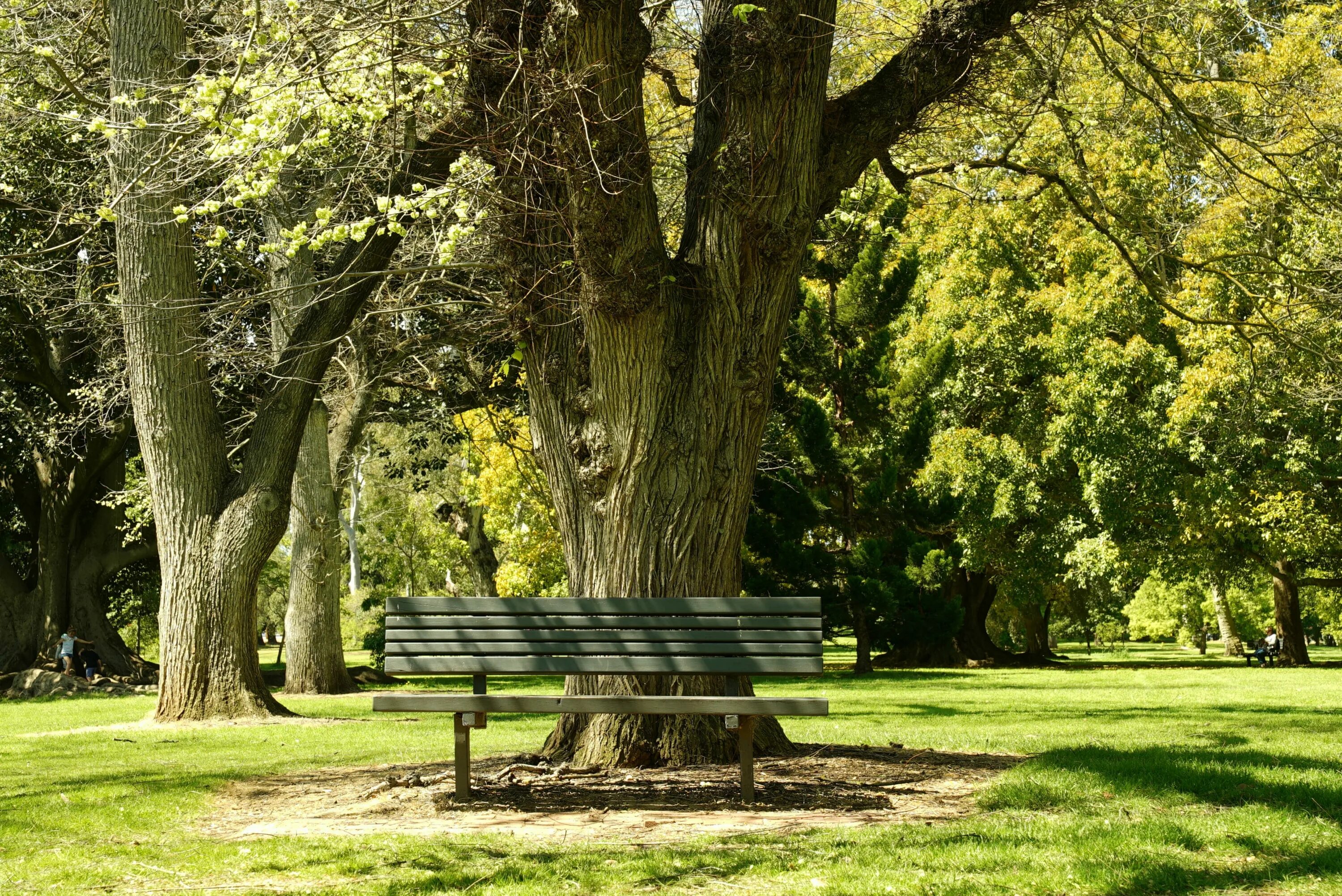 Park scene. Hyde Park лавочки. Парк Царицыно скамейки. Парк Америка скамейки. Парк лавочка Англия.