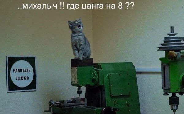 Кот на заводе мем. Кот на станке. кот на заводе. котики и станки.