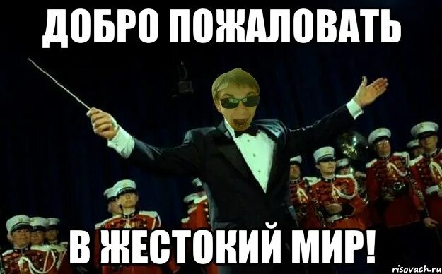 Включи тот самый мир. Включи тот самый мир. Смешные моллюски. Мем жираф в воде. Интересные случаи с животными.