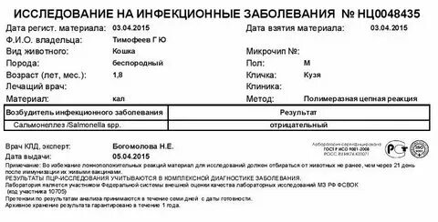 Пцр кала на нр. Пцр кала на нр. Микробиологические лабораторные исследования это. Пцр метод на сальмонелл. Пцр кала на нр.