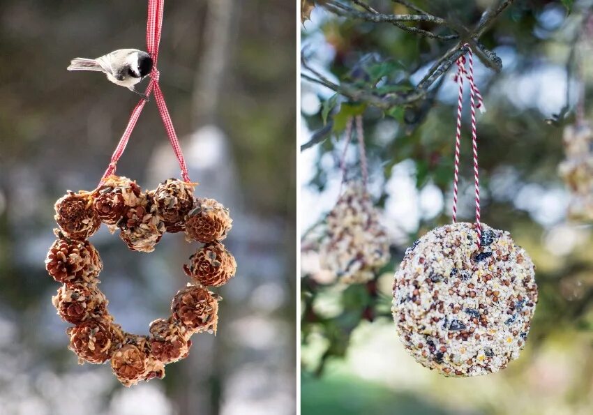 кормушка из пятилитровой бутылки. кормушки для птиц bp gjlhexys[ vfnthbfkjd. простая кормушка для птиц. оригинальная кормушка из подручных материалов. оригинальная кормушка из подручных материалов.