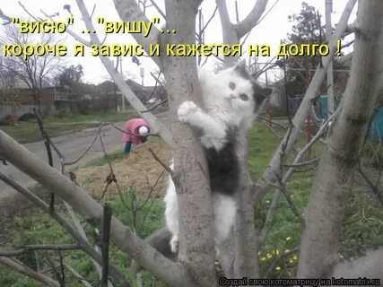 И ты на мне завис