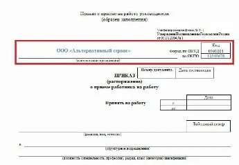 Документ о назначении исполнительного органа. Документ о назначении исполнительного органа