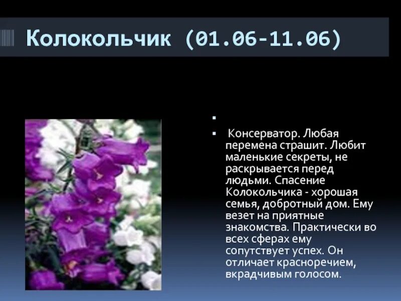 Цветочный гороскоп. Спасение колокольчика. Гороскоп растений. Цветы по гороскопу по дате рождения. Кто ты по цветочному гороскопу