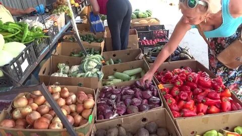 Работа в гостагаевской