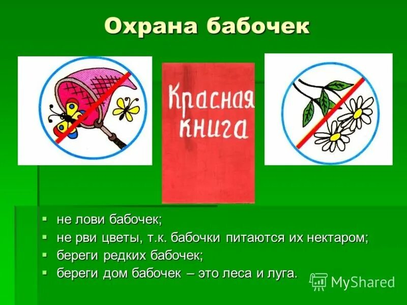 Нельзя рвать цветы. Почему нельзя рвать цветы и ловить бабочек. Почему нельзя рвать цветы. Почему нельзя рвать растения. Почему нельзя рыбачить