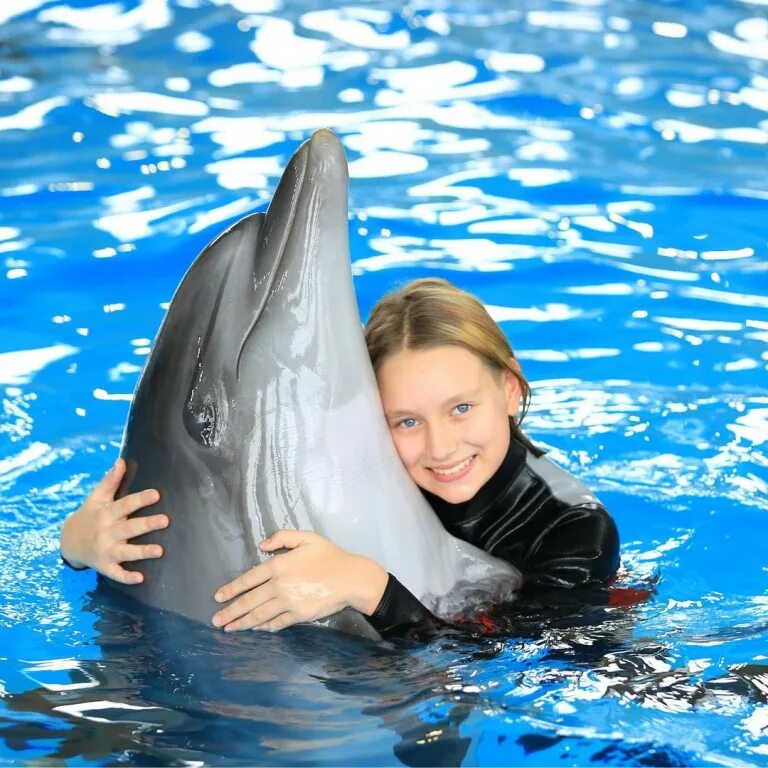 Ярославский дельфинарий 2025. Ярославский дельфинарий dolphin planet. бассейны в долфин планет в ярославле. лукина дельфинотерапия. ярославль дельфинарий отель.