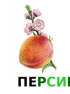 Персик символ