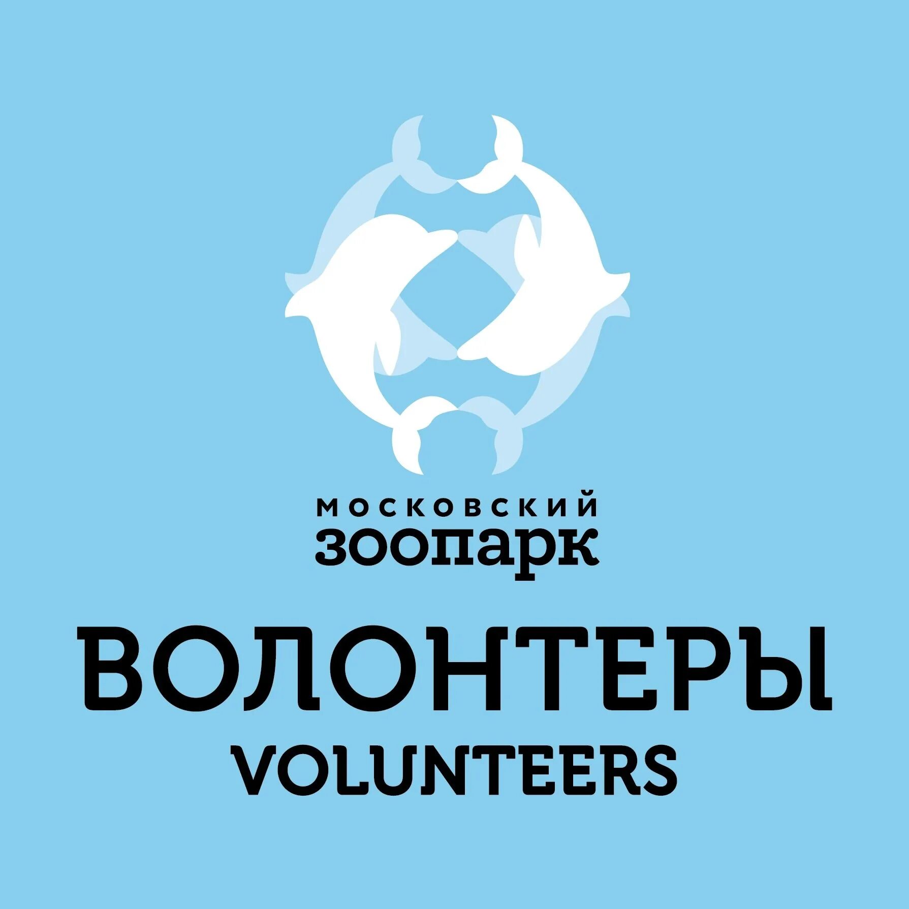 Московский зоопарк 2022. Волонтерство в московском зоопарке фото. Волонтеры московского зоопарка. Волонтерство в московском зоопарке фото. В зоопарке волонтерство.