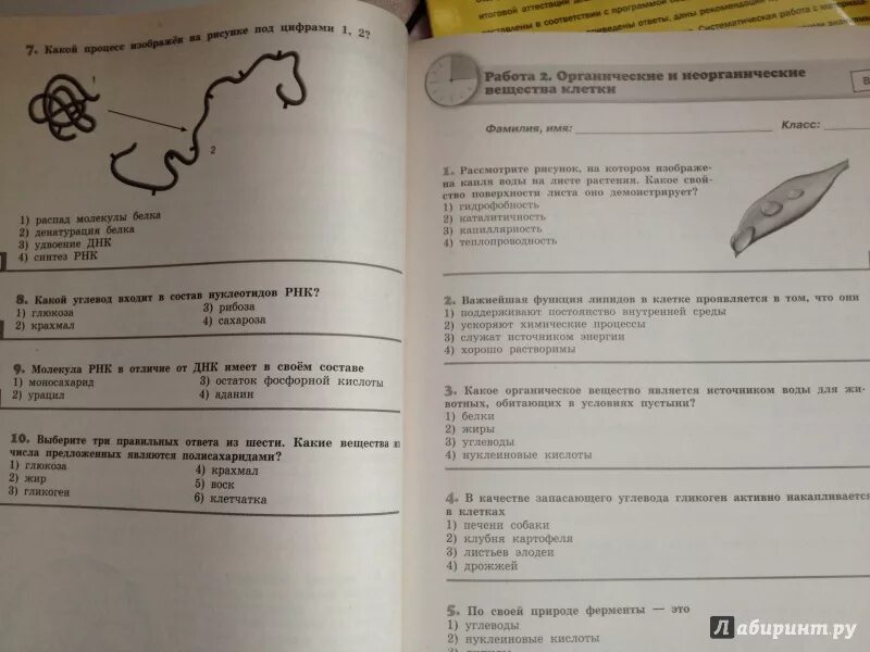 Диагностическая по биологии 8 класс. Биология 9 класс Рохлов. Биология экспресс диагностика 8 класс. Биология 9 класс текущий контроль. Биология 8 класс Рохлов текущий контроль.