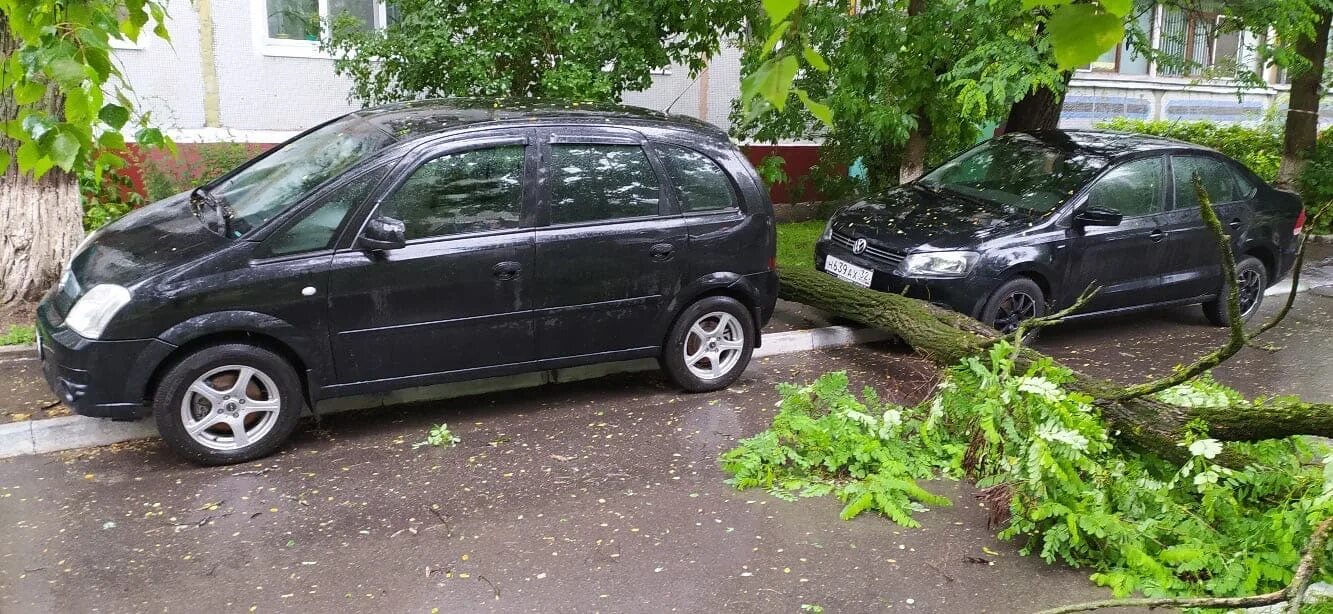 Ру брянск автомобили. Шторм в Брянске. В Жуковке Брянской области сегодня упало дерево на машину.