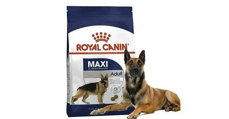 корм роял канин для щенков крупных пород. Royal canin starter для щенков. макси эдалт роял канин норма. роял канин макси эдалт 15 кг. Royal canin животные.