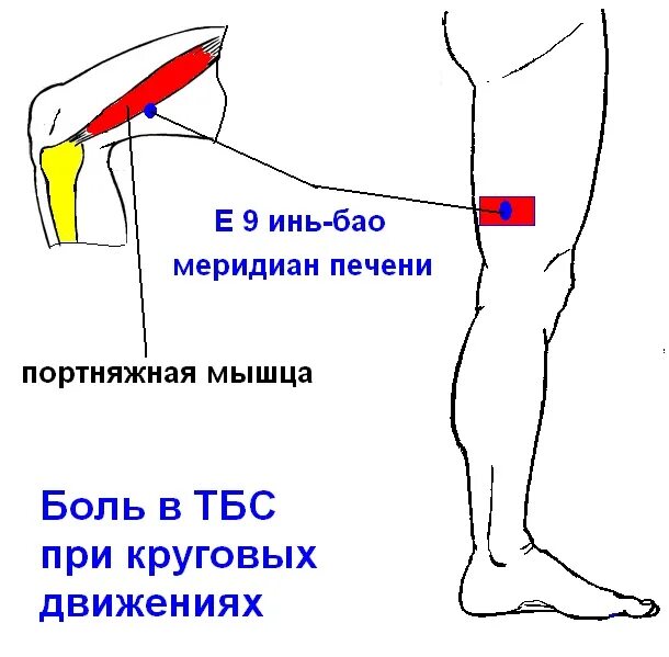 Боль в ногах от бедра до стопы. Болит нога выше колена сбоку с внутренней стороны. Болит точка на бедре сбоку. Боли сзади колена ноющие.