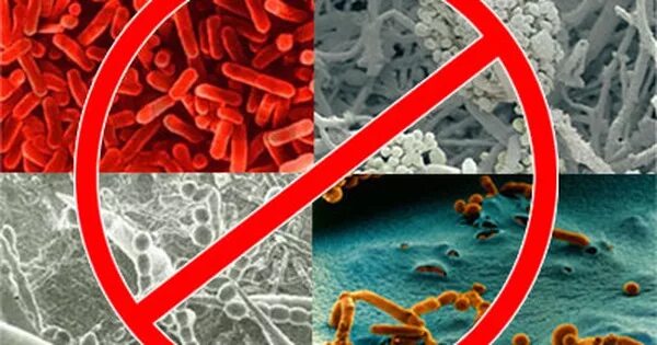 Вирусы и микробы. Микробы убегают. Убивает бактерии. Бактерии умирают. Антибиотики убивают бактерии.