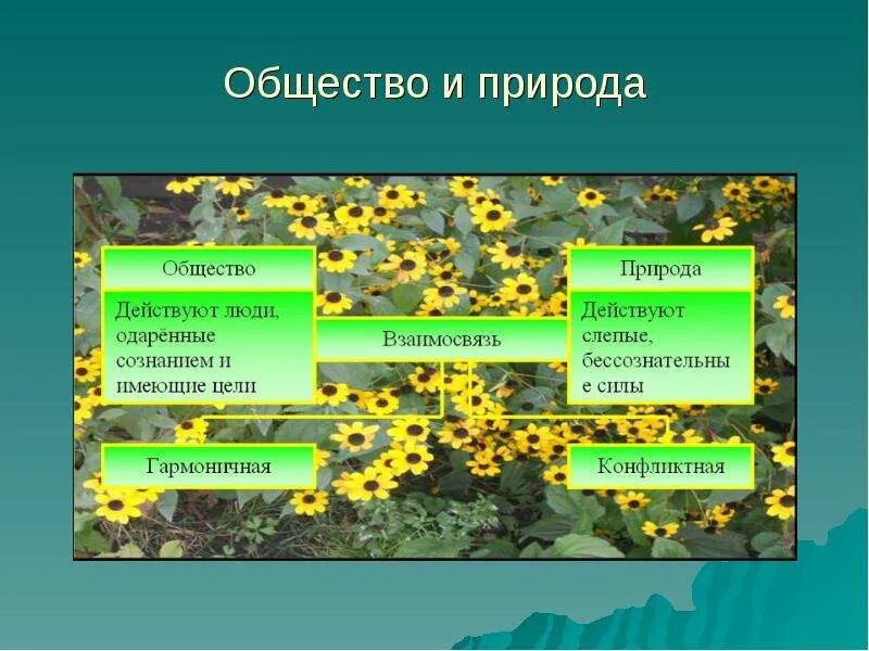 Современное общество сохраняет взаимосвязь с природой. Общество и природа. Презентация на тему общество и природа. Природа и общество доклад. Общество и природа Обществознание.