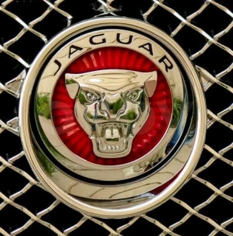 Магнитный пазл 27x18см."Jaguar, автомобиль, транспортное средство" на холодильни