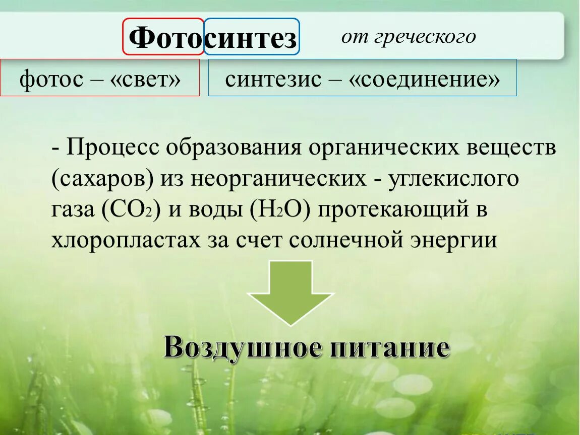 Влияние какого условия на процесс фотосинтеза. Фотосинтез. Процесс фотосинтеза. Фотосинтез 6 класс. Фотосинтез это в биологии.