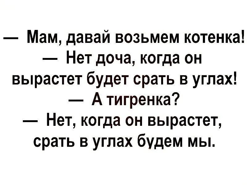 Мать дола. Мама давай возьмем котенка. Мама давай заведем котенка. Мама давай возьмем котенка анекдот. Мама давай купим котенка.