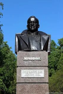 Бюст г