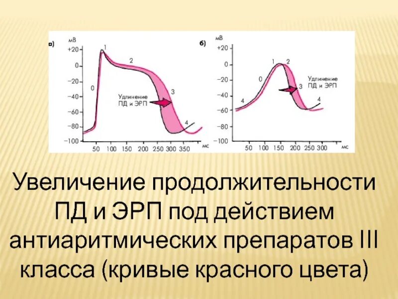 Уровень пд. Антиаритмические препараты 3 класса механизм действия. Антиаритмические препараты и потенциал действия. Антиаритмики потенциал действия. Средство, увеличивающее Продолжительность потенциала действия.