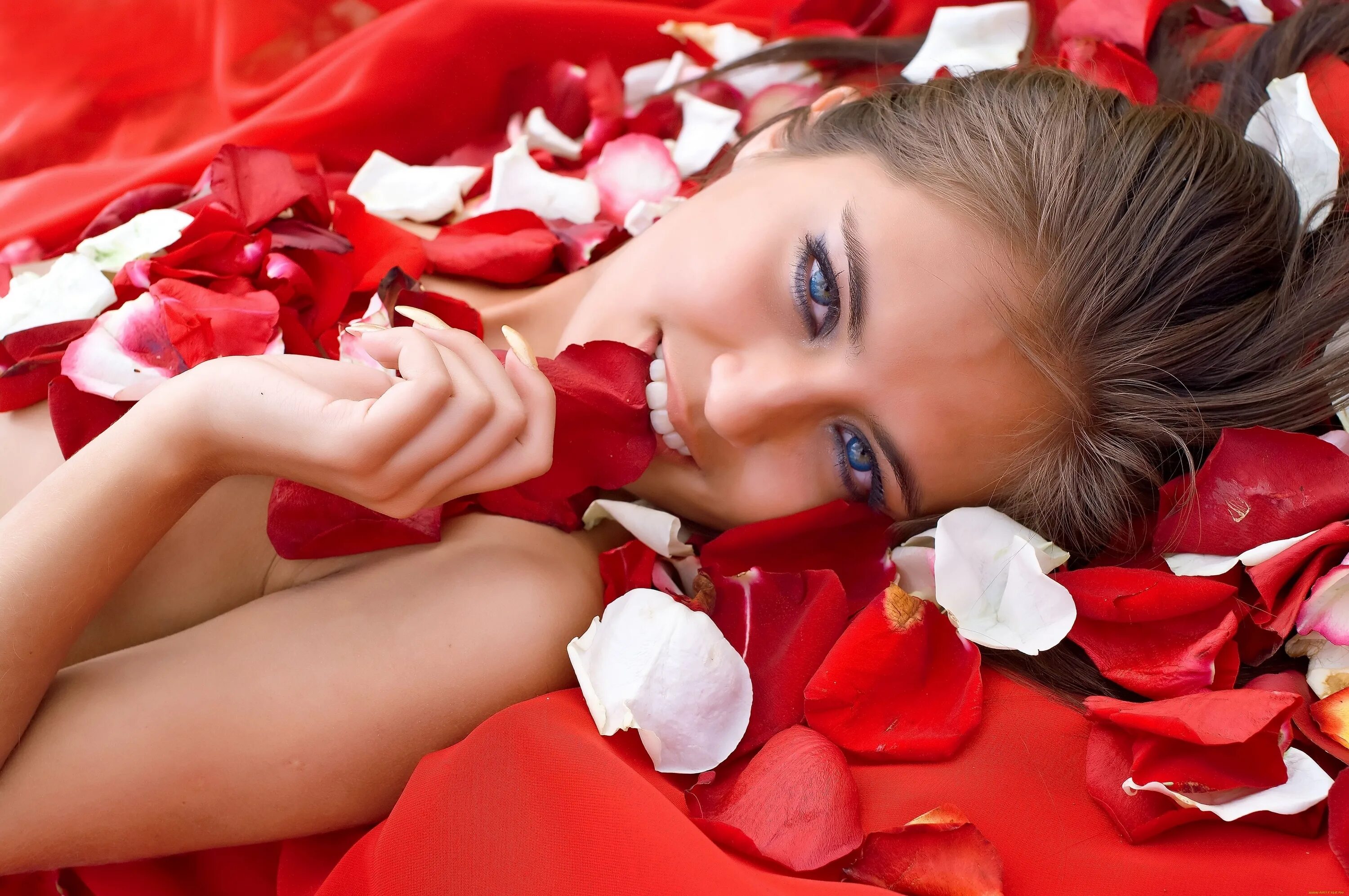 Нежно лепестками роз. Девушка с розой. Девушка с красными розами. Фотосессия с лепестками роз. Девушка в лепестках роз.