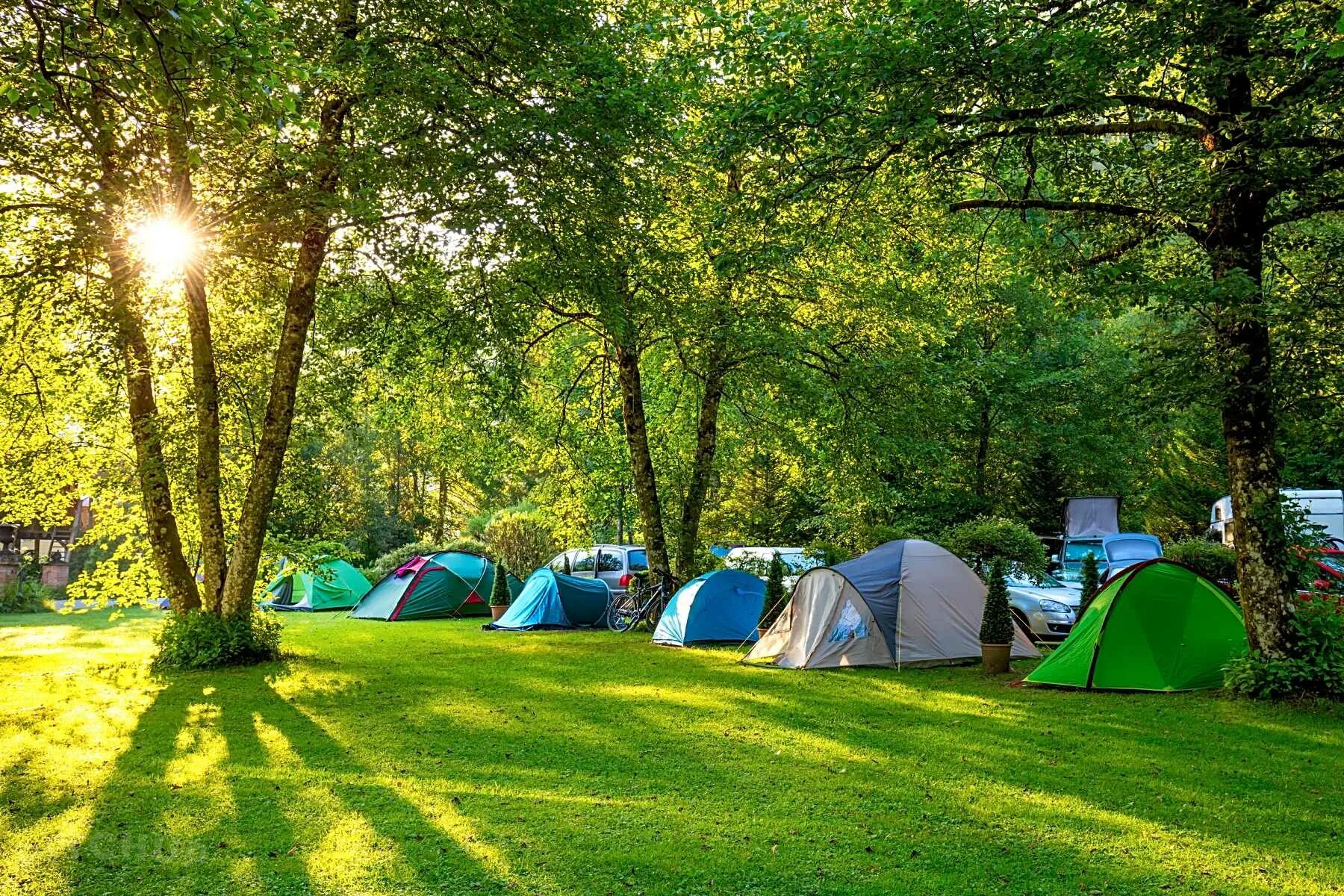 Красивые места для отдыха на природе. Палатка Camping Tent. Палатка Ronin Camp. Кемпинг Увильды. Привольная Поляна палаточный лагерь.