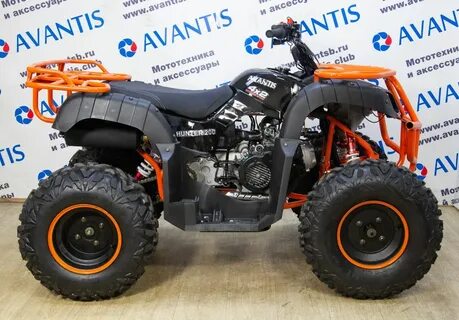 Avantis 200 big lux