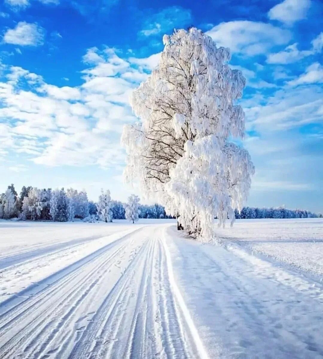 Зимнее снежное день. Зима. Зимний пейзаж. Красивая зима. Зимняя природа.