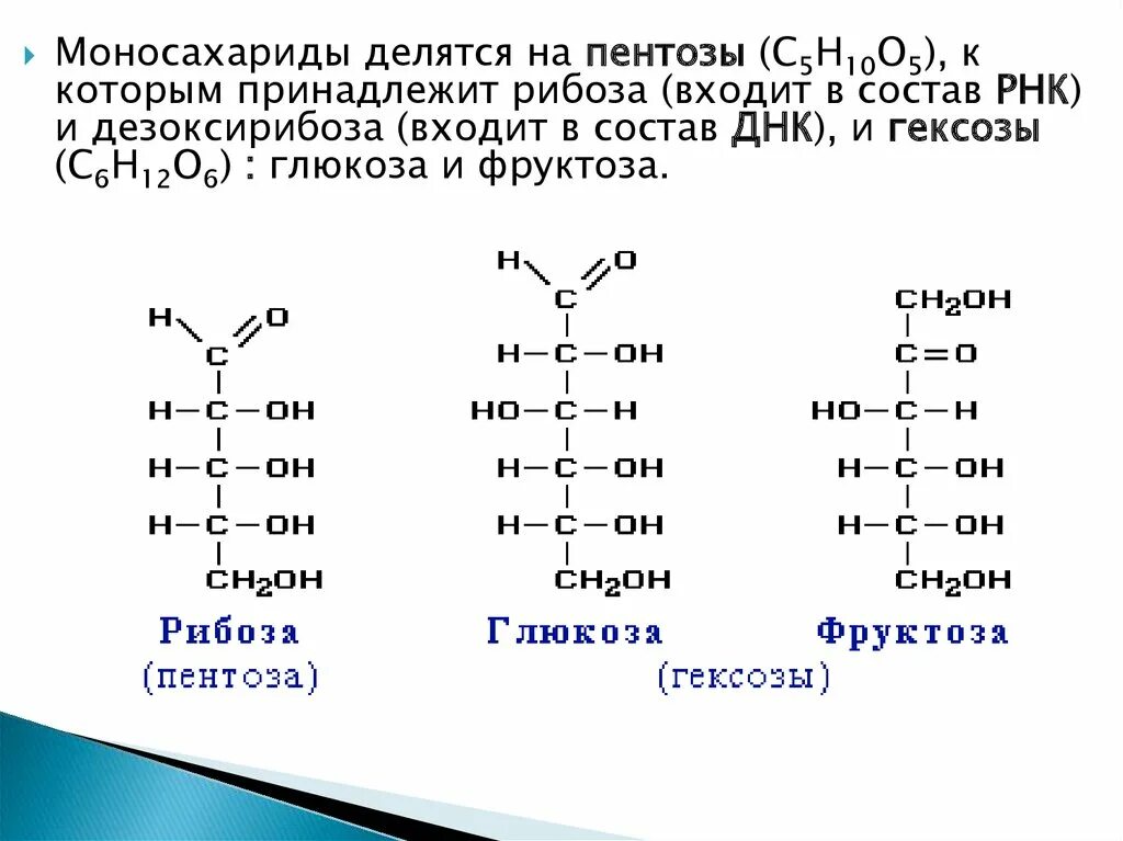 Рибоза Глюкоза дезоксирибоза. Моносахариды линейные и структурные формулы. Глюкоза моносахарид структурная формула. Моносахариды Глюкоза фруктоза. Линейная формула глюкозы