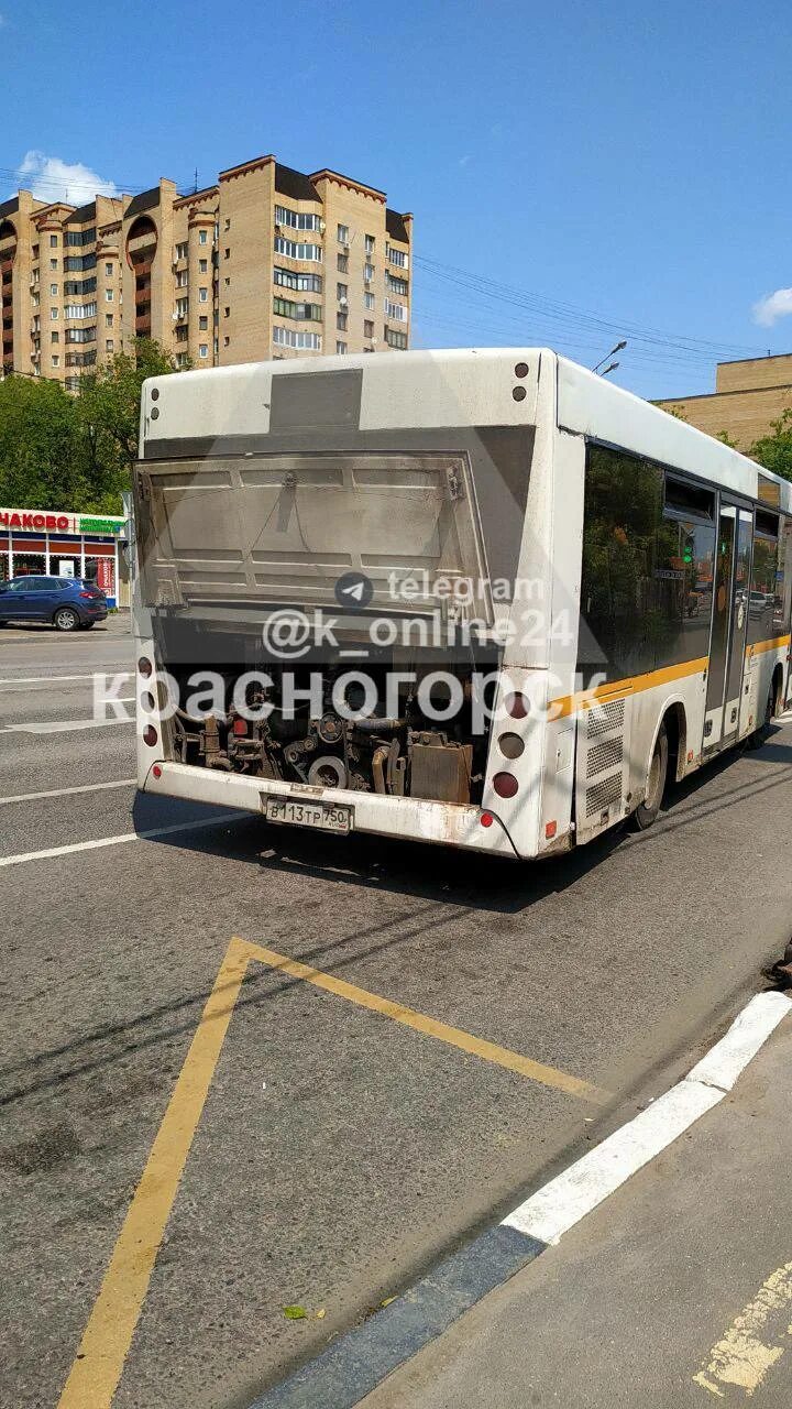 Автобус 541 маршрут остановки. Автобус. Автобус 541. Водитель автобуса. Номер автобуса.