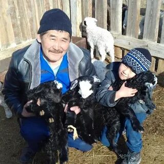Подслушано в кош агаче айтылмаған окига