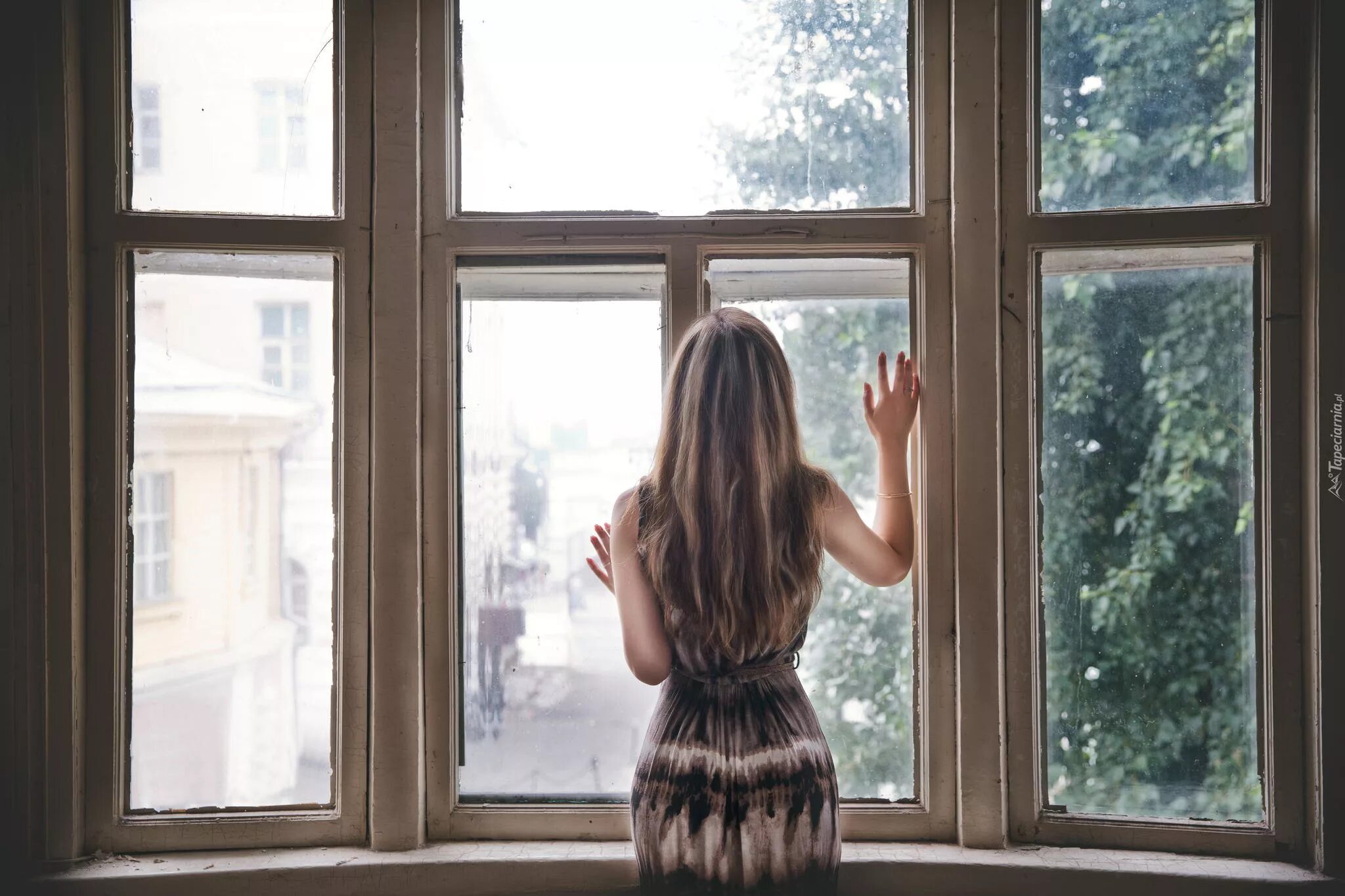 смотрящая в окно обухова