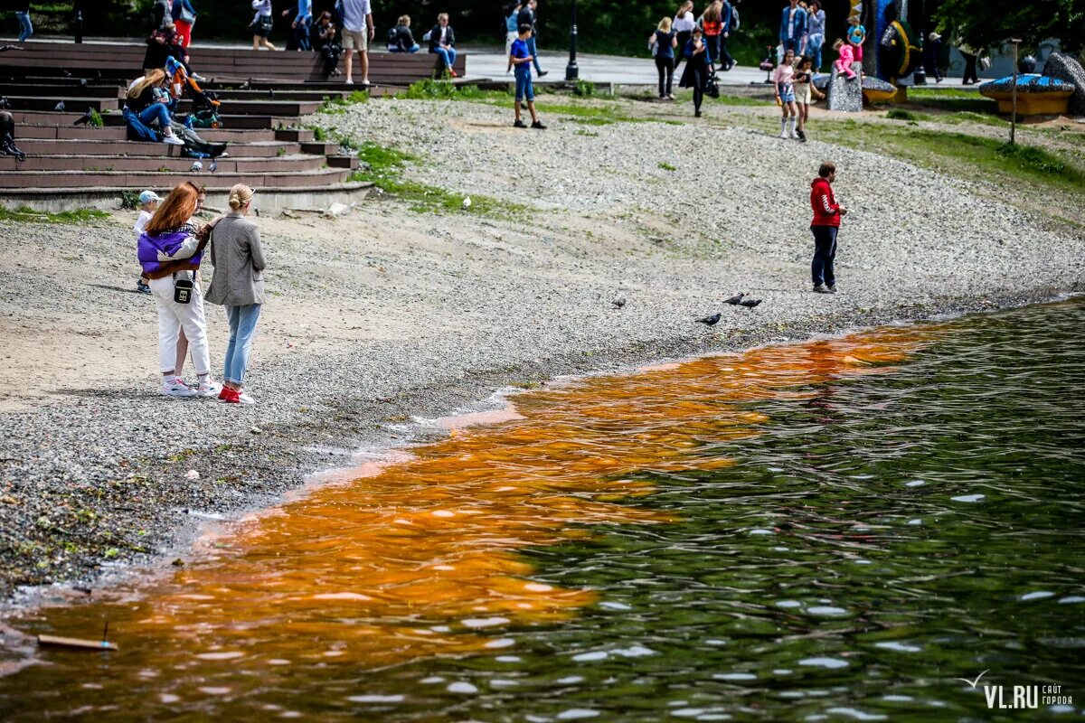 Заказ воды владивосток. Владивосток с воды. Нету воды Владивосток Нарвская горячая.