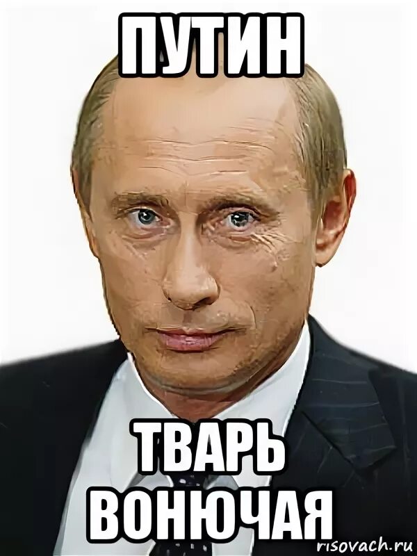 Ответ тварь. Путин тварь. путин сволочь. путинские твари. путин вонючка.