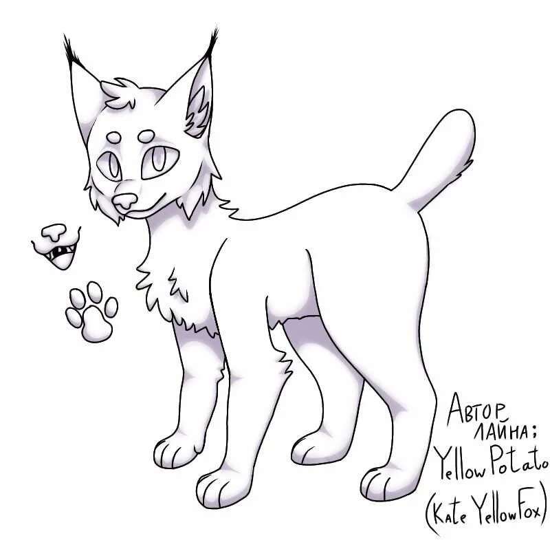 раскраски адопт. раскраски адопт. адопт ми раскраска. фрилайн фурри. лайны собак для покраски.