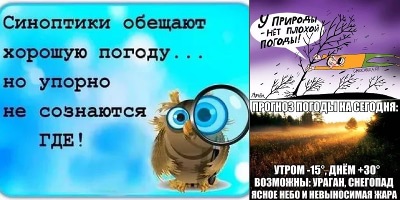шутки про погоду летом