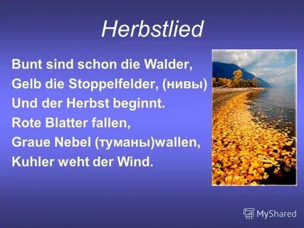 Schon der