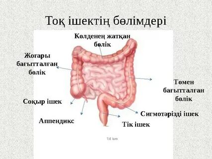 Ақша алу үшін порно