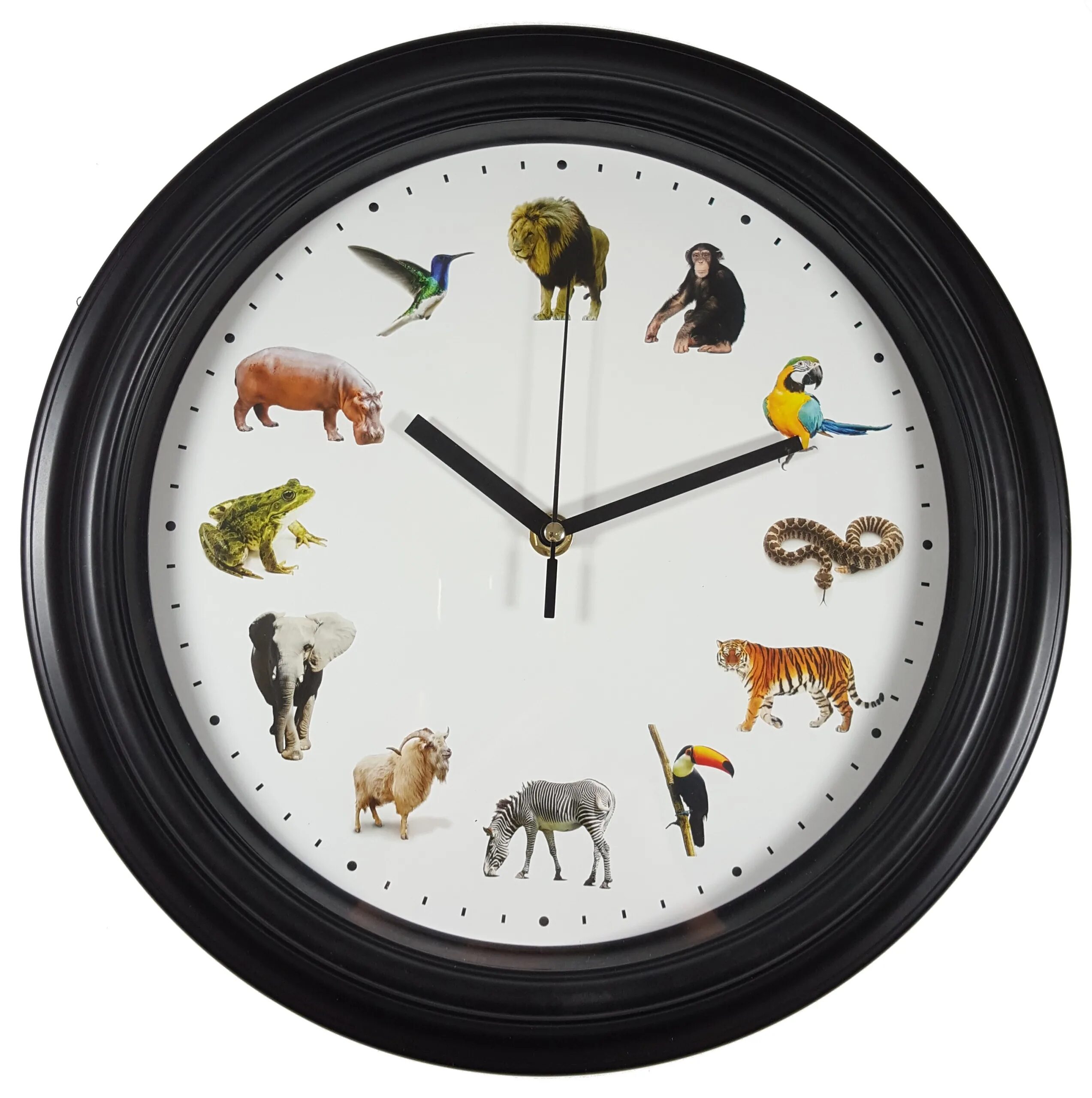 Часы про животных. Часы с животными. Часы со звуками животных. Часы животные со звуком. Восточные часы с животными.