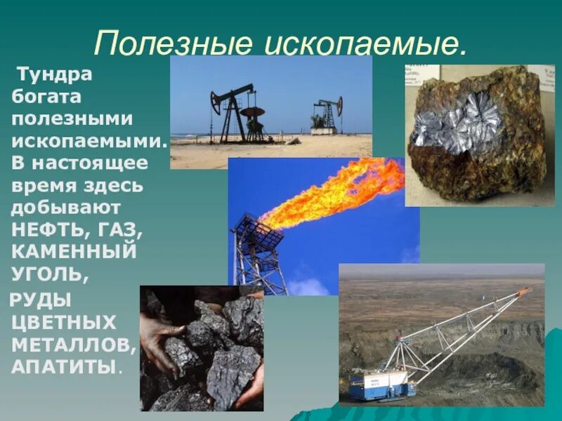 К каким ископаемым относится нефть. Полезные ископаемые. Добыча полезных ископаемых в тундре. Природные ископаемые. Полезные ископаемые тундры.